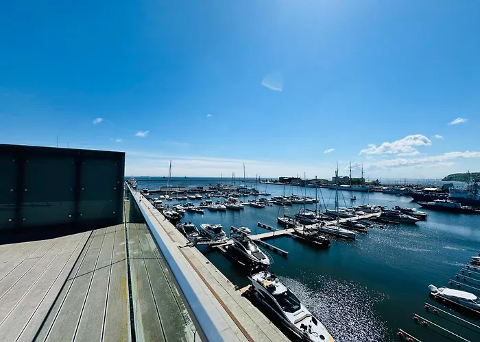 Faltom 26 Yacht Park Z Tarasem *